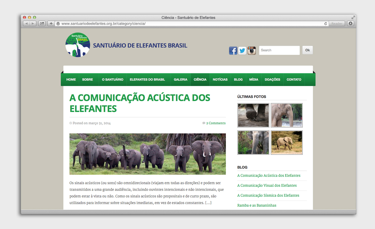 página de categoria - Site Santuário de Elefantes