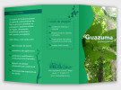 folder Guazuma