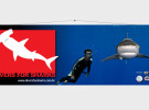 banner Divers for Sharks