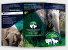 folder / externo - Santuário de Elefantes